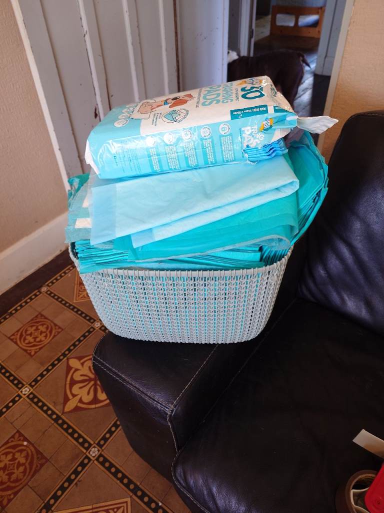New Pet Training Pads and Basket