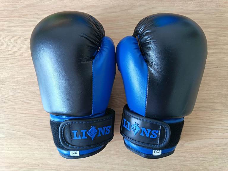 Adults Lions 6oz Boxing Gloves & Focus Pads
