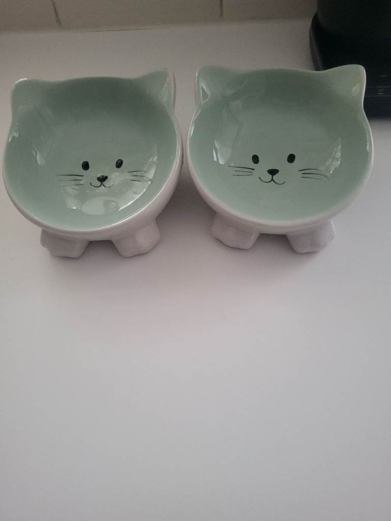  2 Cat bowls 