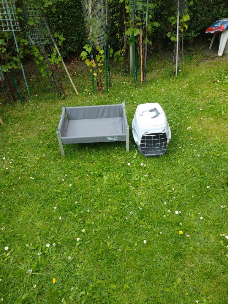 Cat carry Basket and bed