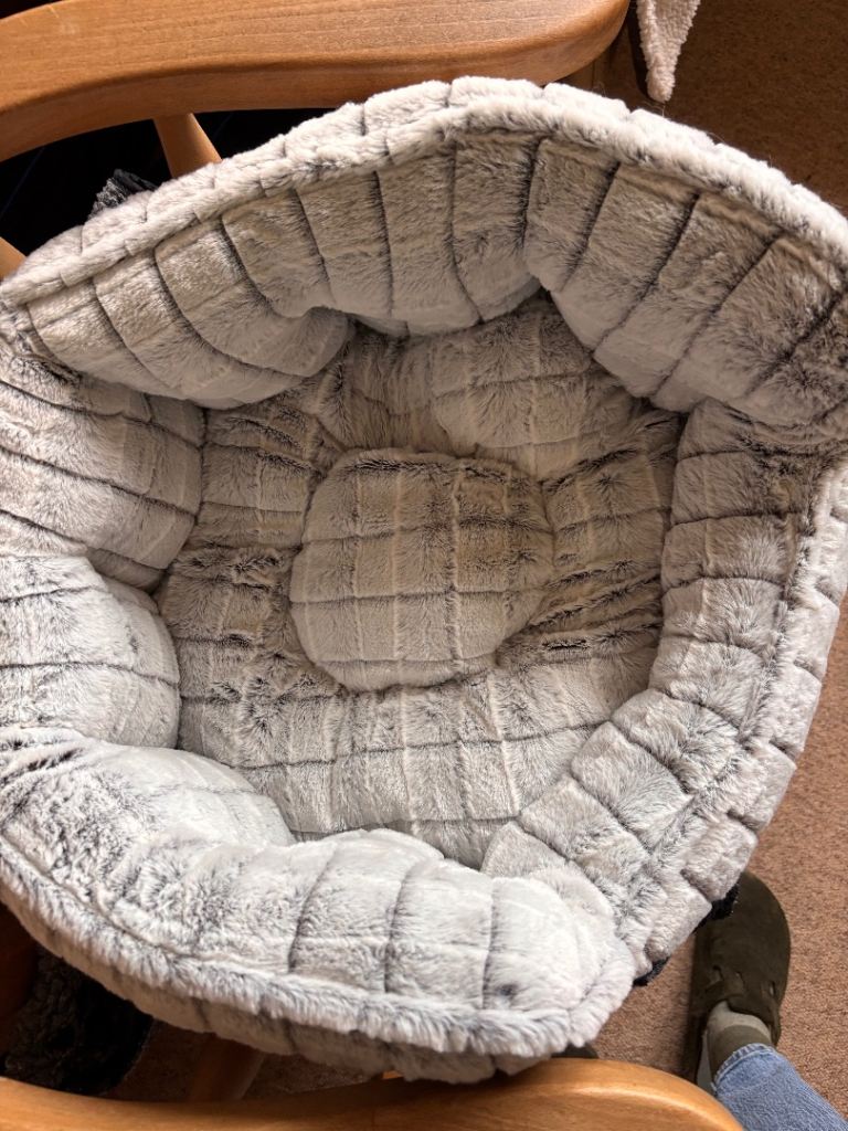 Cat bed - new and unused