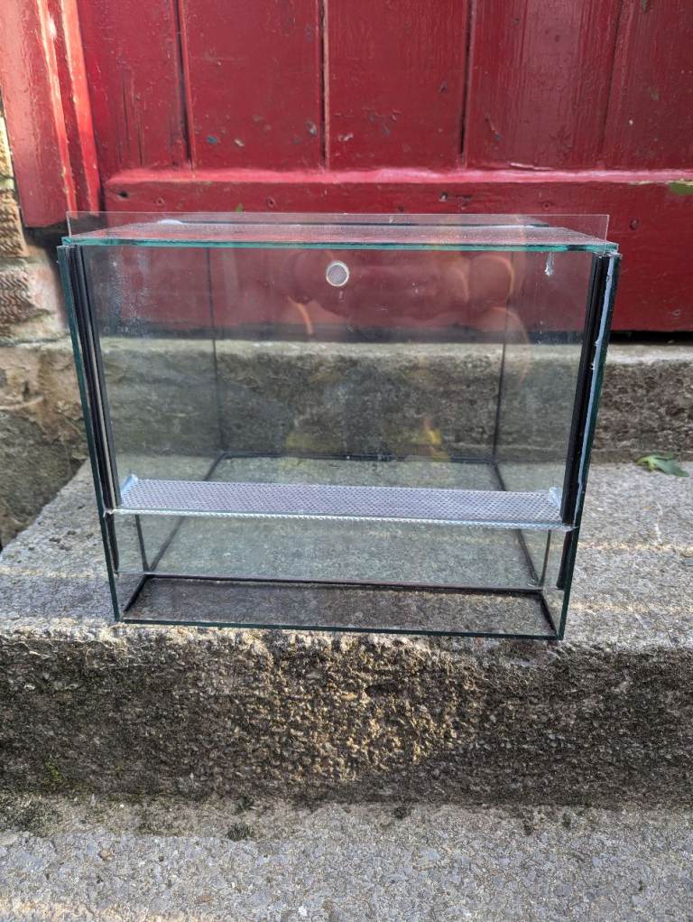 Terrarium glass box for insects 