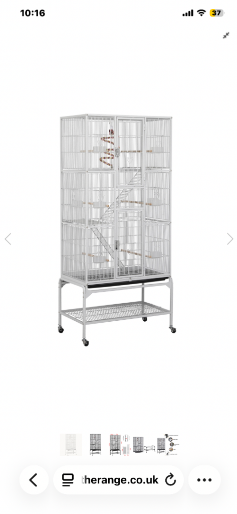 Bird cage for sale 