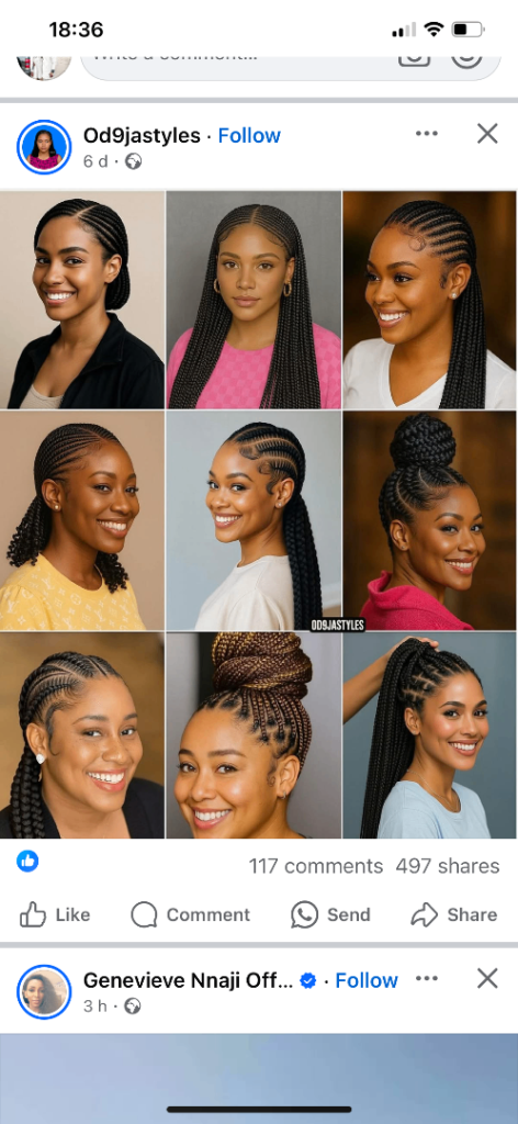 image for Bii’s Braid & Installation 