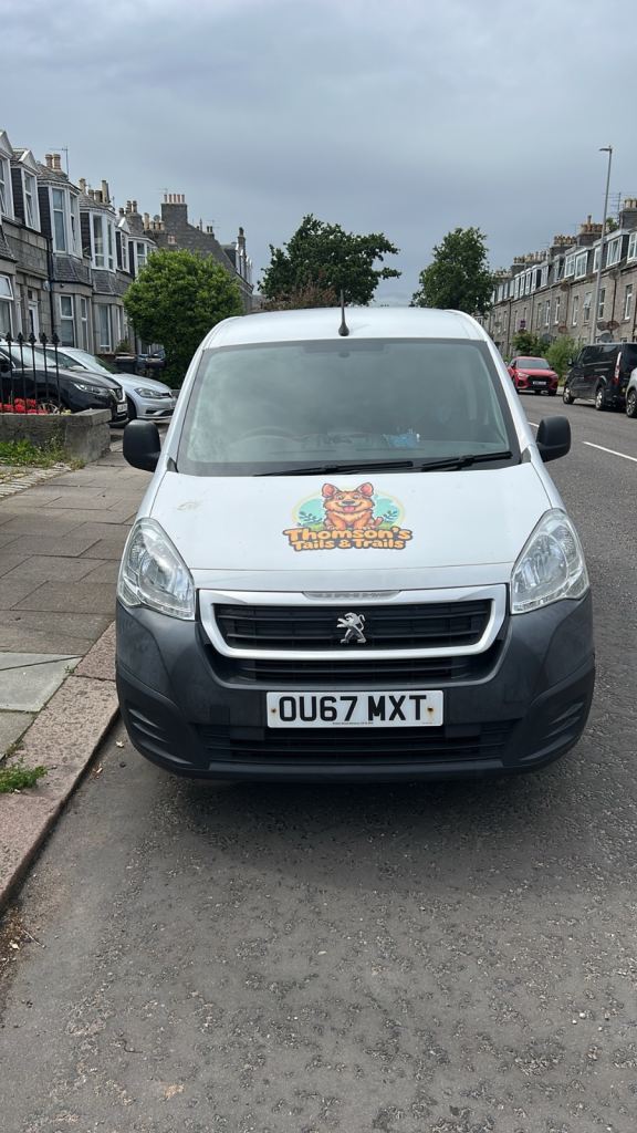 Peugeot, PARTNER, Panel Van, 2017, Manual, 1560 (cc)