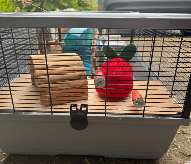 Hamster cage 