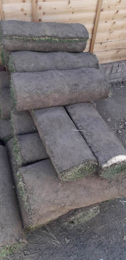 Fresh Grass Turf Rolls - Ready for Your Garden