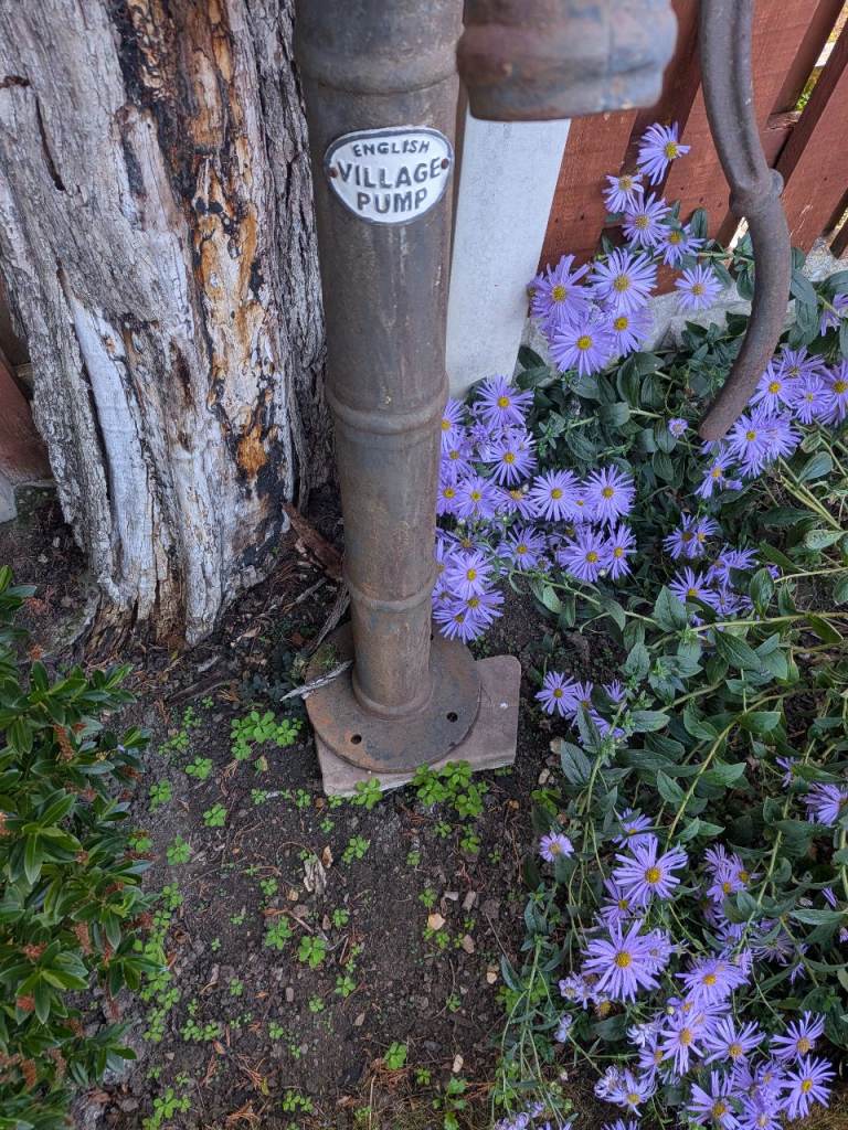 Vintage Cast Iron Garden Water Pump – Good Condition