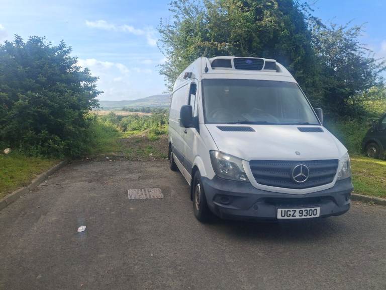 Mercedes-Benz, SPRINTER 313 CDI, Panel Van, 2015, 2143 (cc)