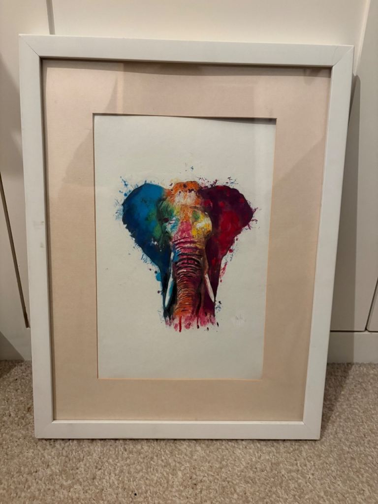 Framed Elephant Print – White Frame, Good Condition
