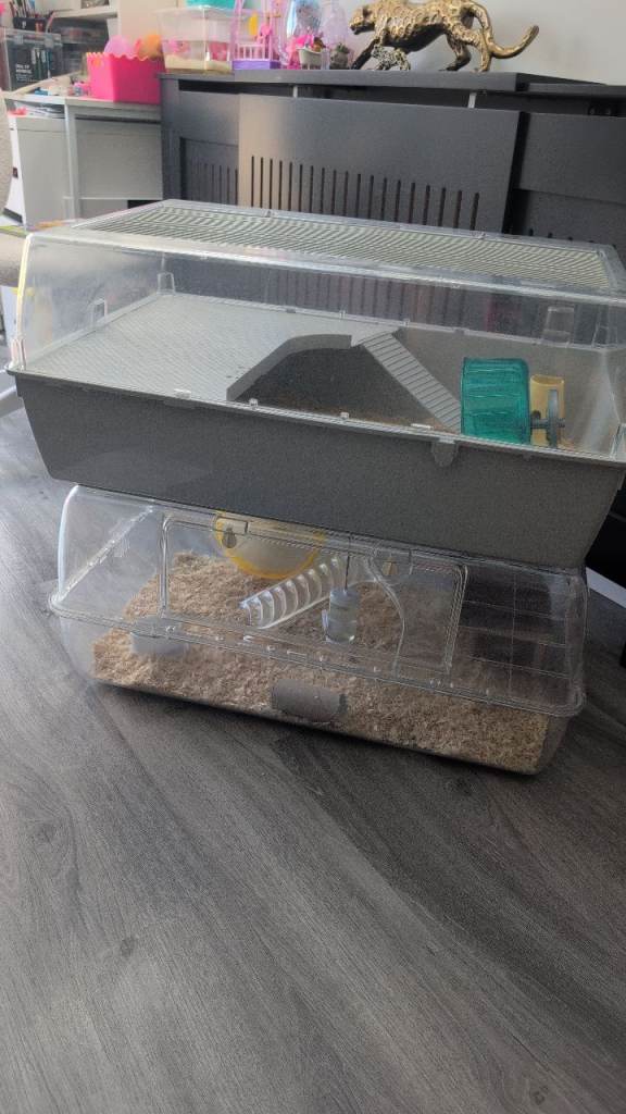 X2 hamsters with cages 