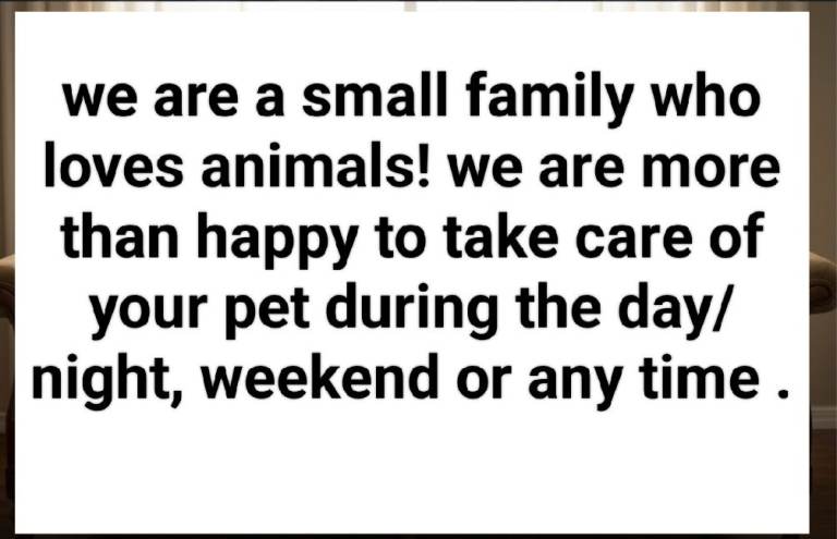 Play times for animals 