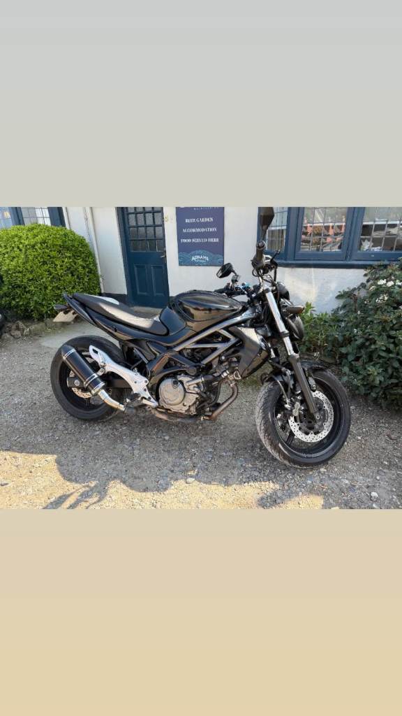 Suzuki, SFV, 2010, 645 (cc)