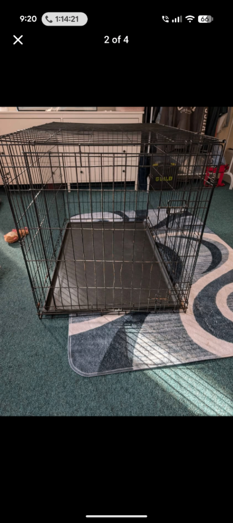 XL dog crate 