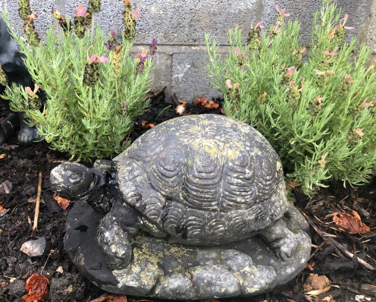 Vintage garden ornament turtle 