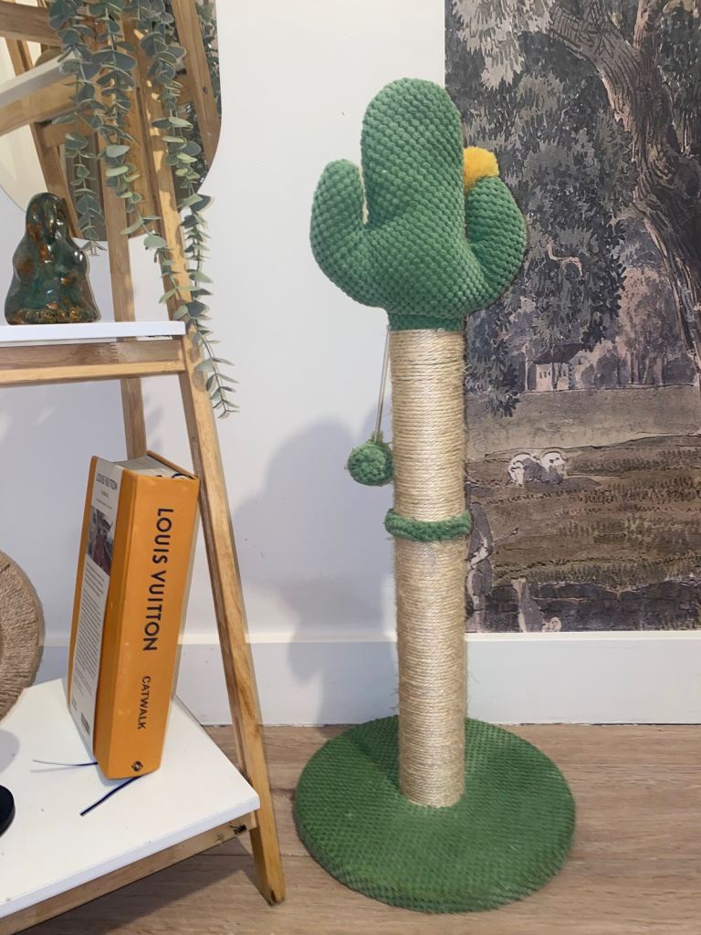 Cactus cat scratch post 