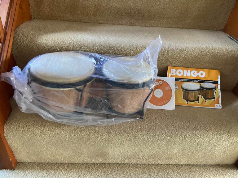 bongo drums