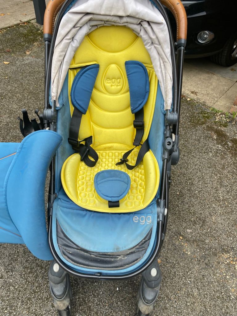 Egg stroller and bassinet 