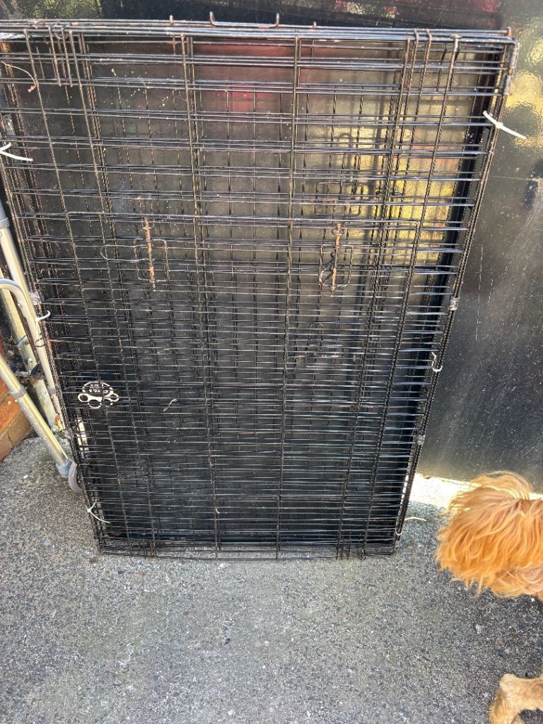 Large dog crate