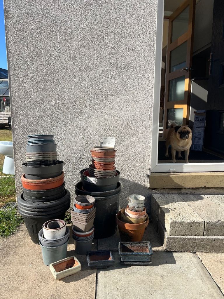 Free plant pots 