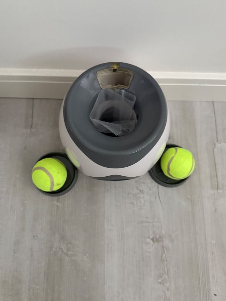 Dog Toy
