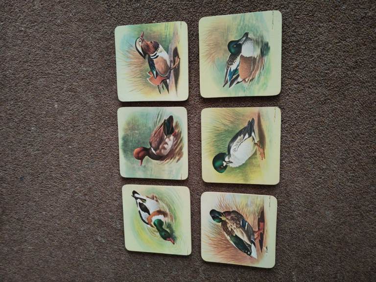 6 X new duck coasters 