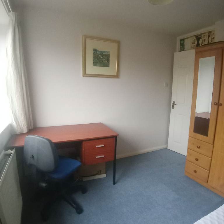 Single room to rent