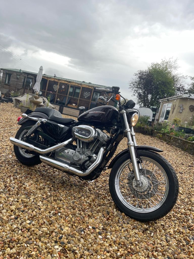 Harley-Davidson XL 883L Sportster, Genuine 7000 miles from new, MOT Aug 27, 2 owners from new, 