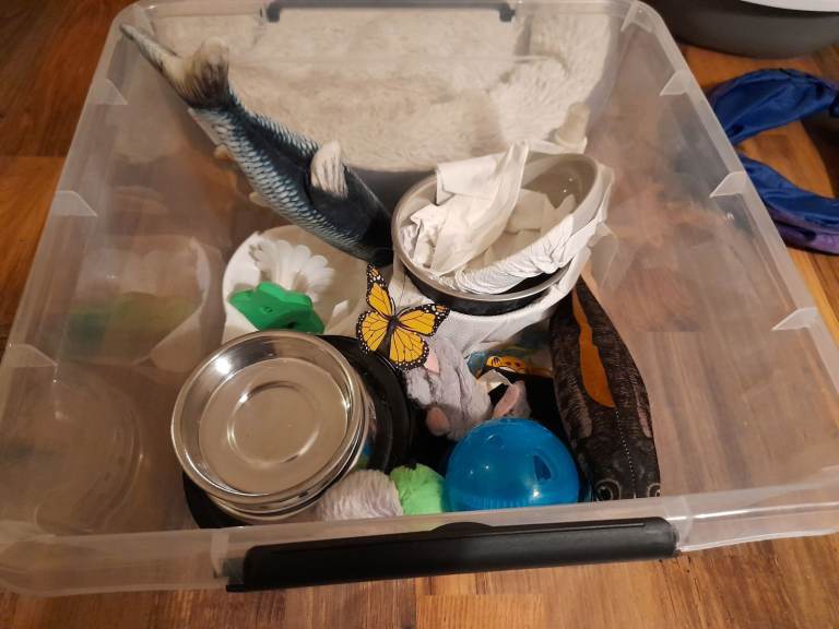 *RESERVED* Free Cat supplies