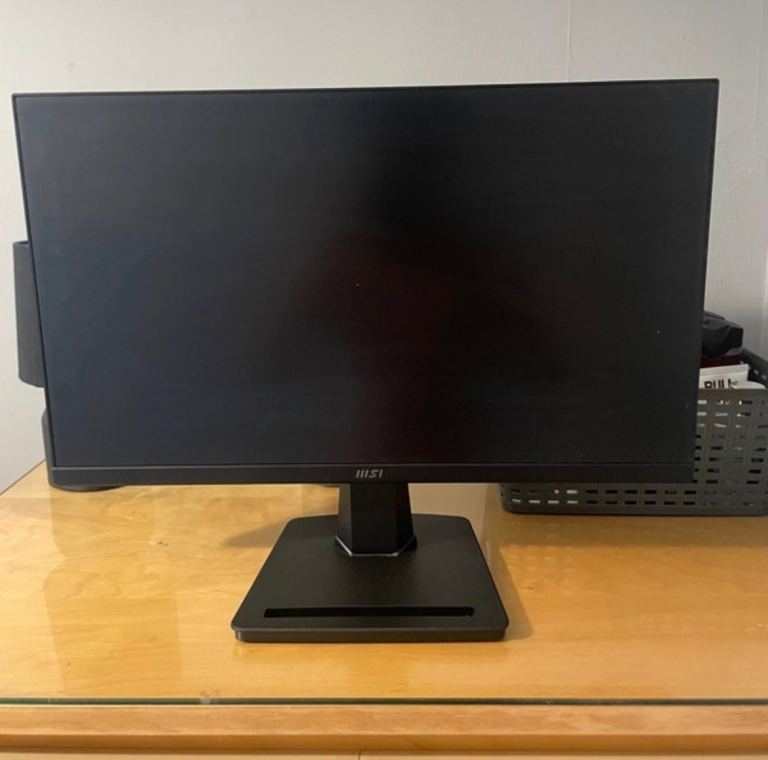 msi montior 1134