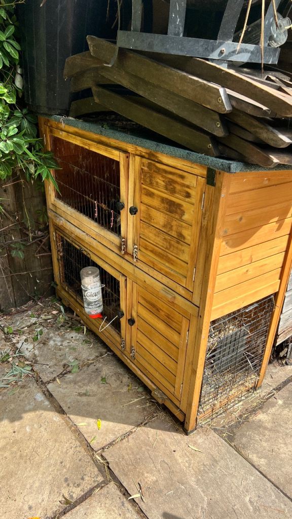 Hutch, food and carrier 