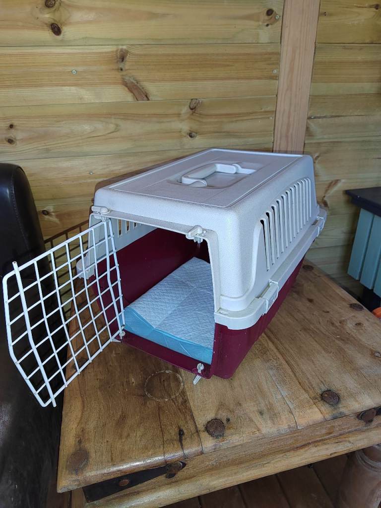 Pet carrier 