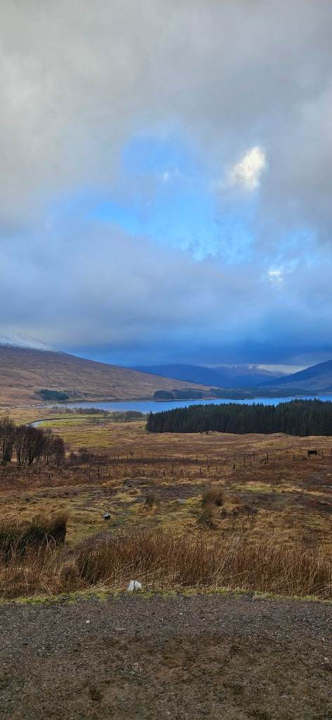 **** Long term house rental Wanted ***