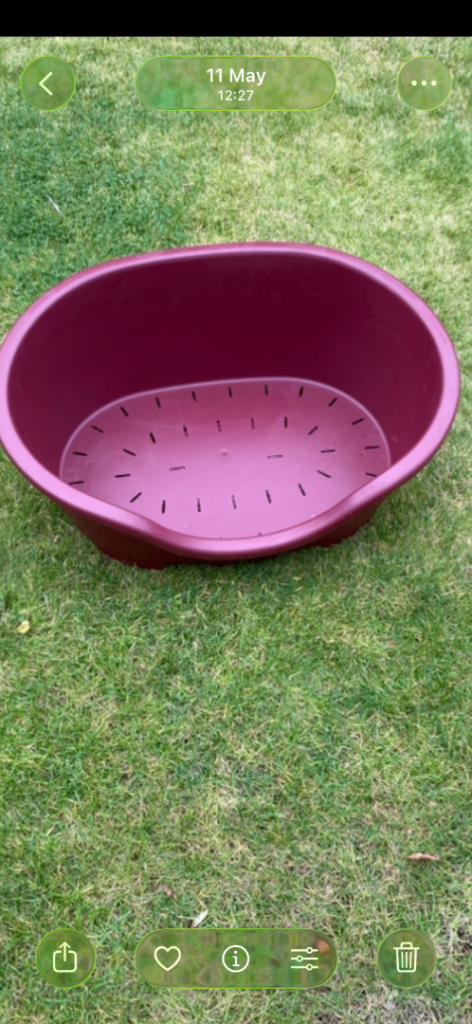 Dog bed 