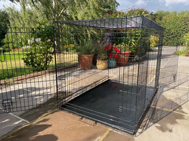 Black XXL dog crate
