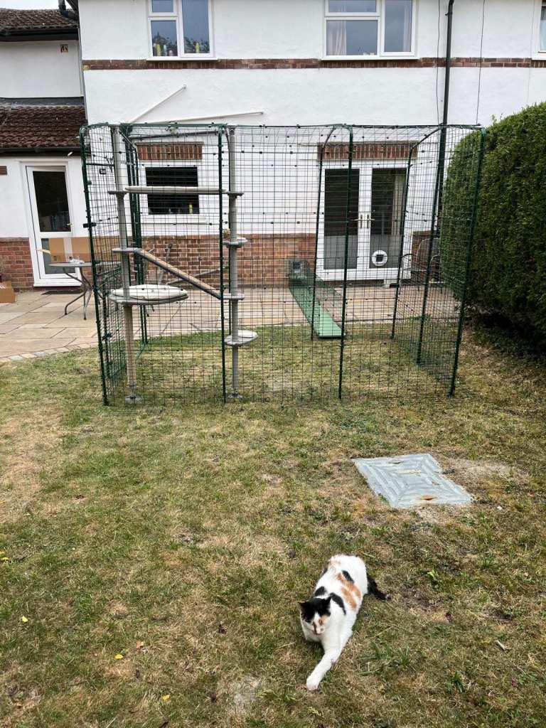 For sale: Omlet outdoor catio, tunnels, tower and accessories 