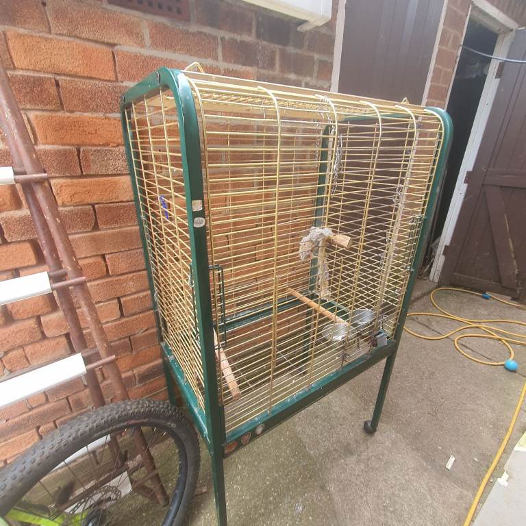 Cage bird 