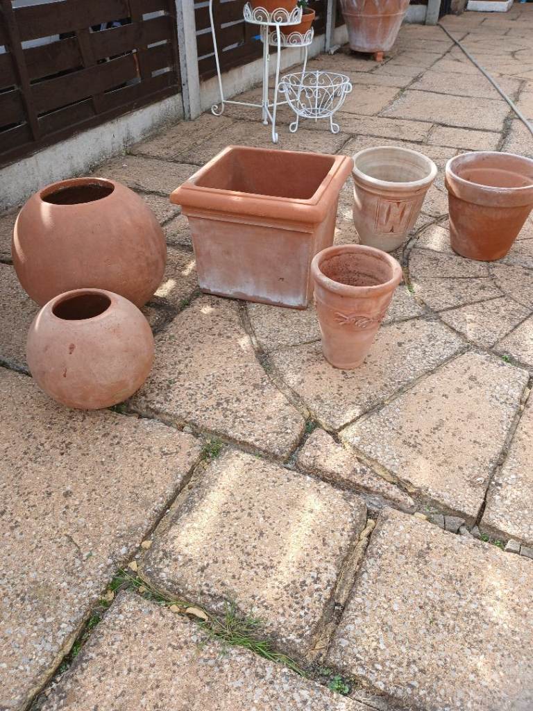 Collection of terracotta plant pots