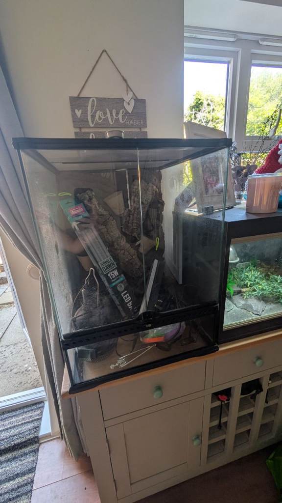 Crested Gecko Setup