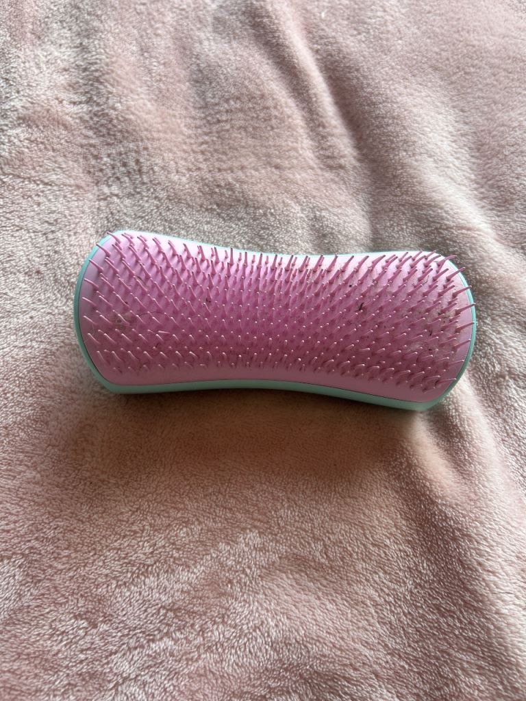 Pet teezer brush 