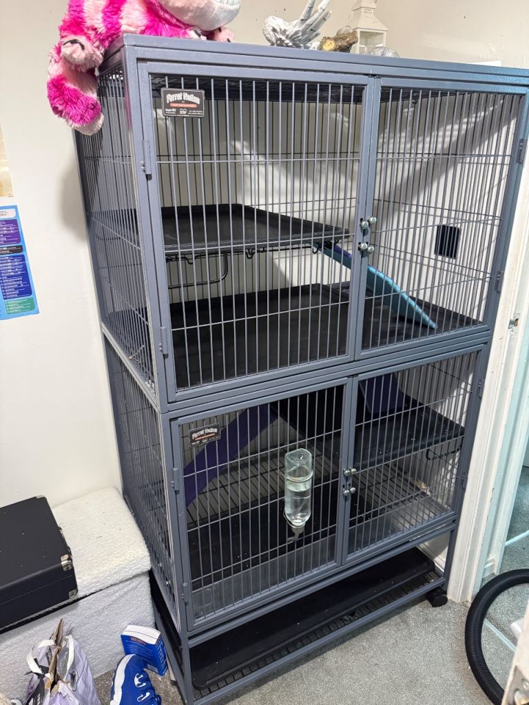 Ferret nation 182 double cage & accessories/ Rat cage 