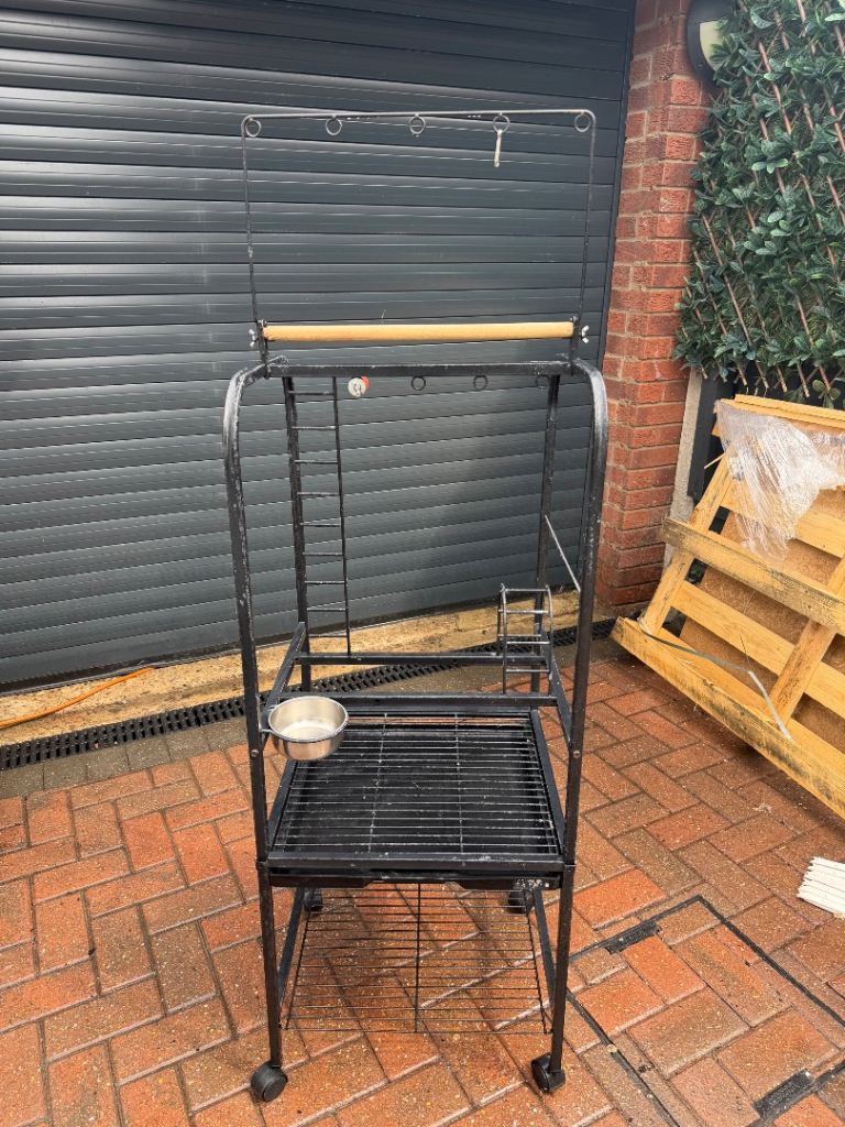 Parrot stand