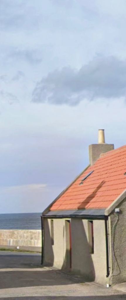 Wanted flat/house to rent