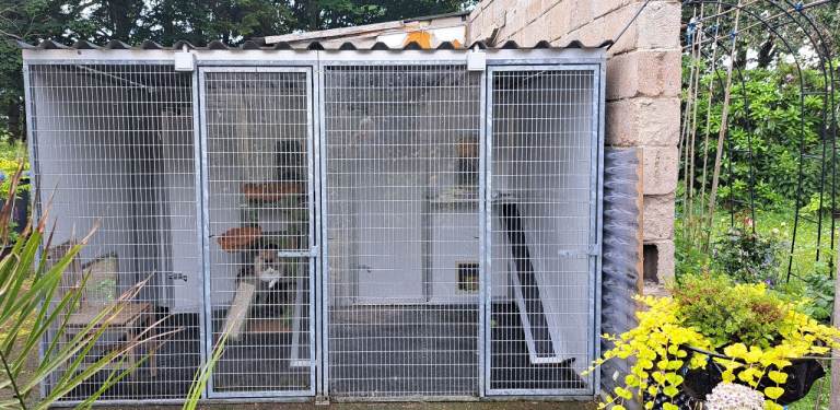 Chicubes professional grade heated cat chalets with runs on excellent condition 