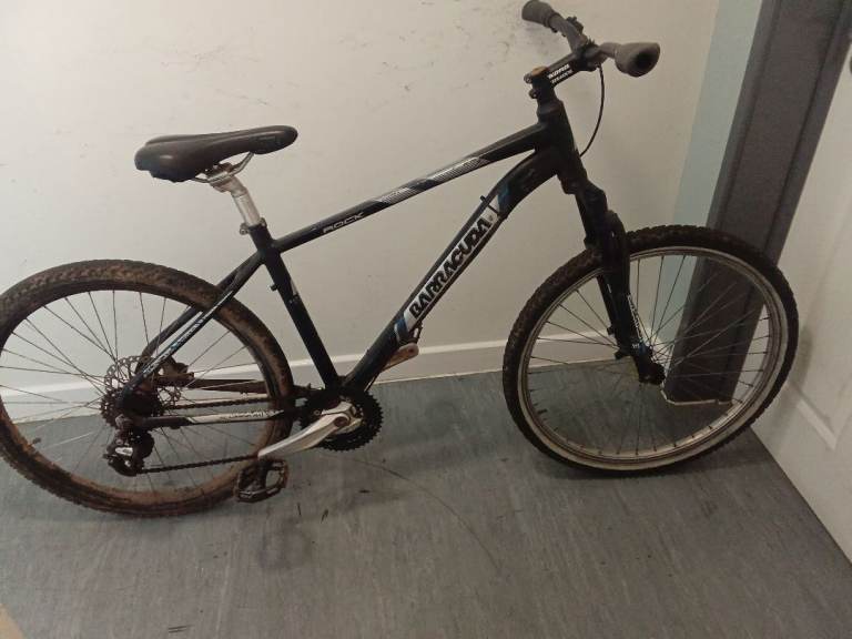 Bike Barracuda rock. 