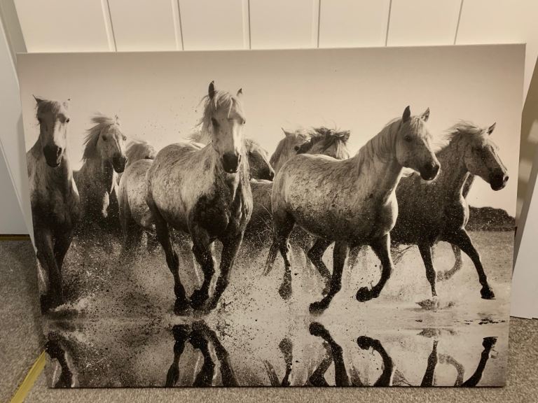 Horse Canvas