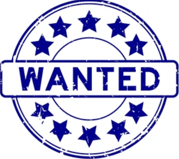 Studio Flat/One Bedroom Flat Wanted in the Hackney Area