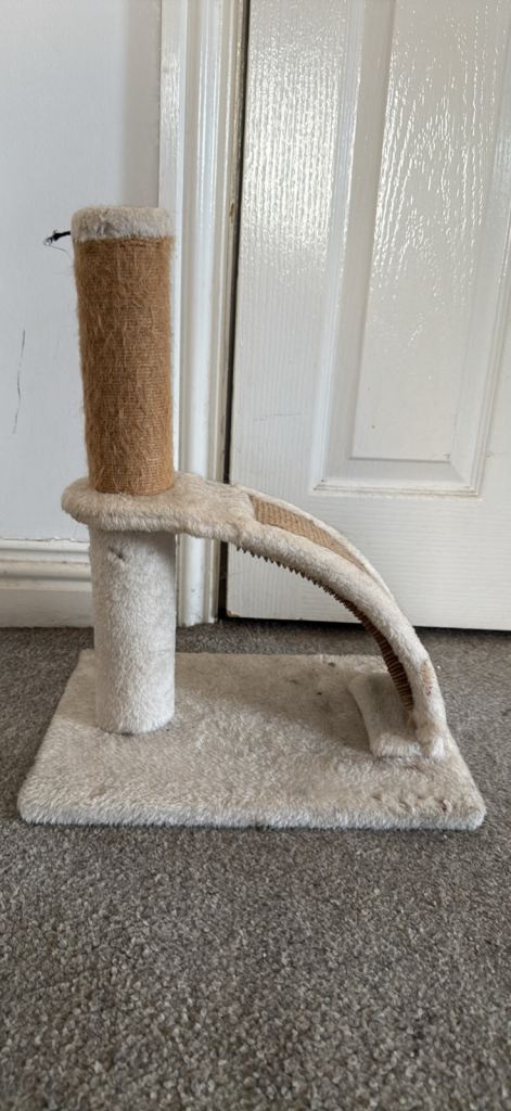 cat scratching post