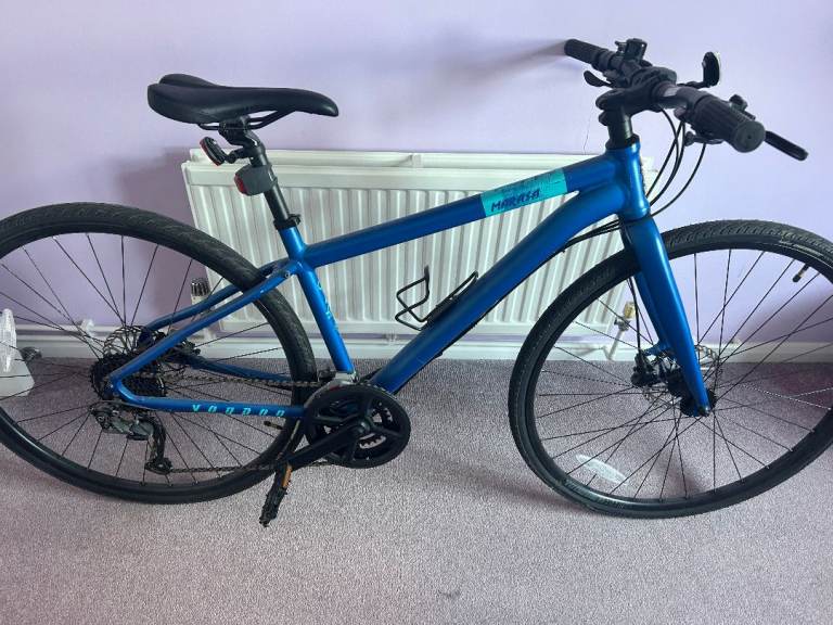 Adult Bicycle for Sale 