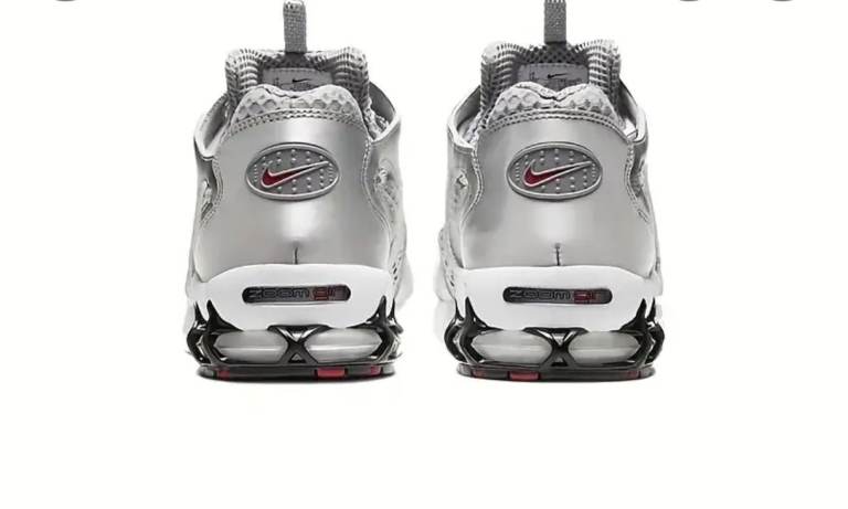 Brand New Silver Shoes